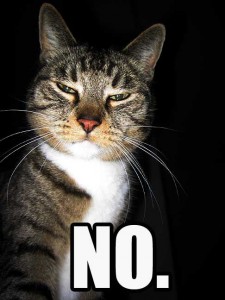 On behalf of the FCC, the  "no-means-no" cat says no Internet streams  on FM translators.
