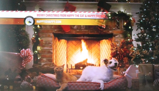 Hallmark Channel's Yule Log 2015. Photo: J. Waits