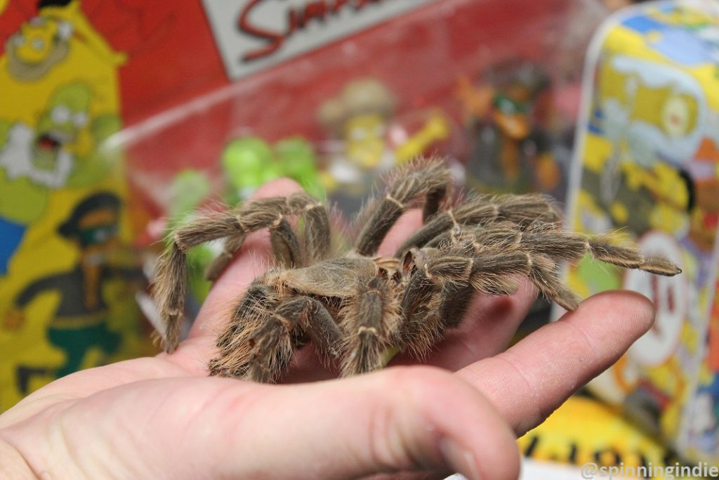 Kevin Stockdale shows one of his tarantula sheds. Photo: J. Waits