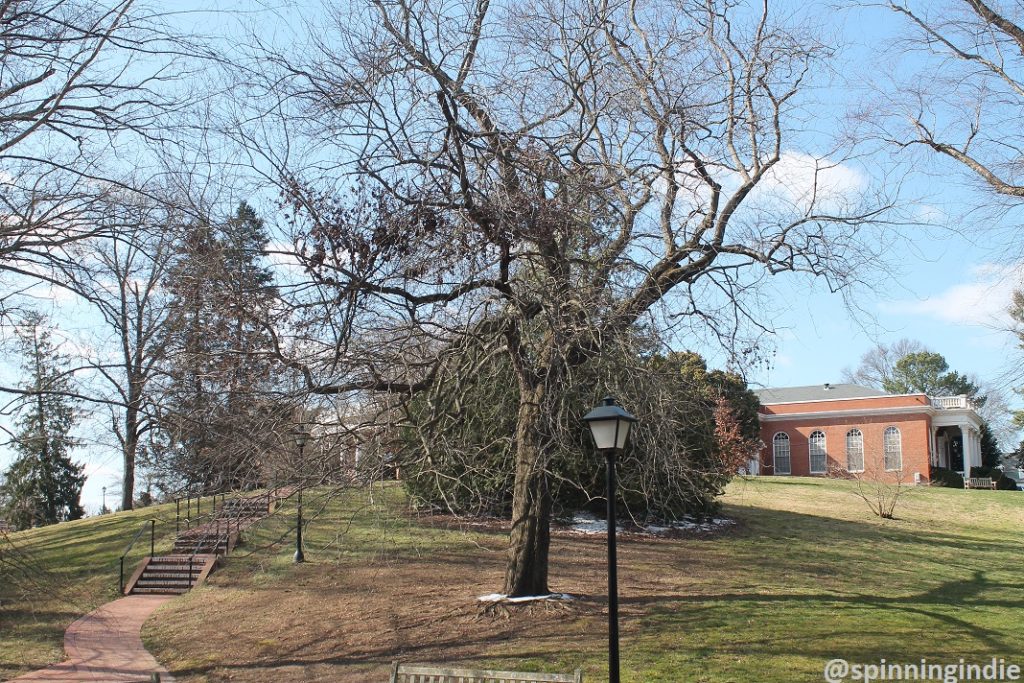 University of Mary Washington campus. Photo: J. Waits