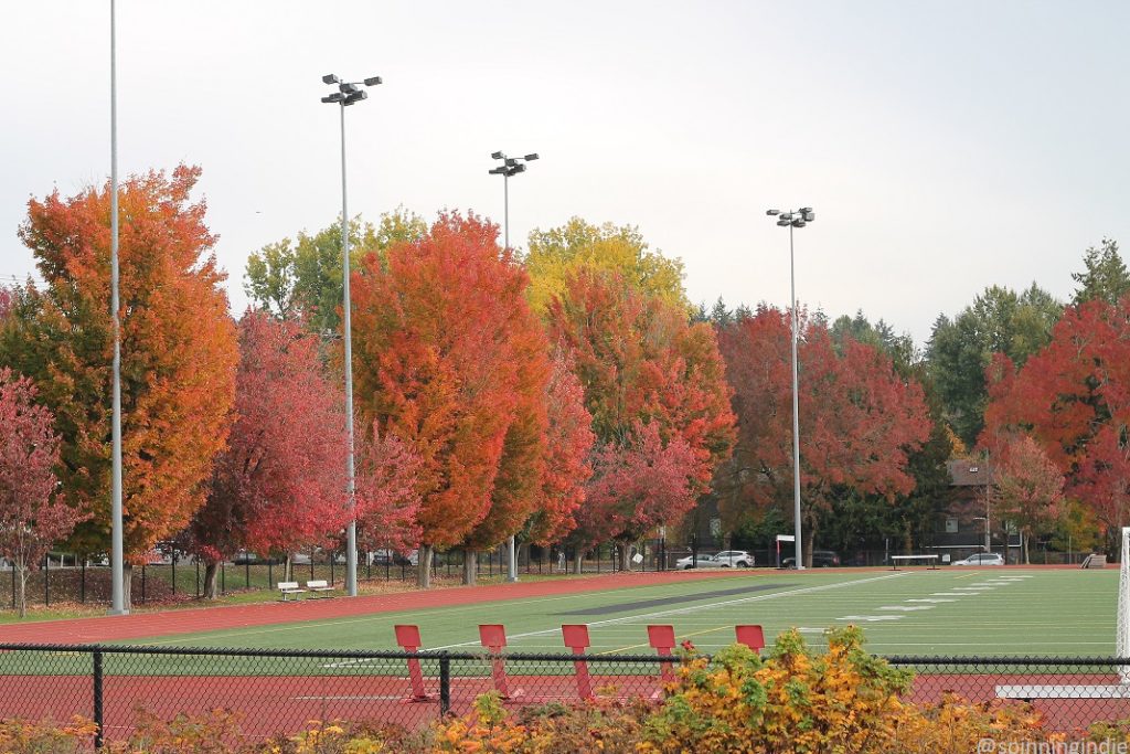 Vibrant fall foliage adjacent to athletic field at Nathan Hale High School. Photo: J. Waits