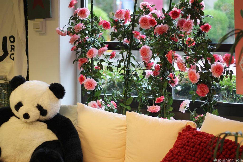 Oversized stuffed panda, "Woodstock," on couch with rose bush behind him at college radio station KSPU. Photo: J. Waits/Radio Survivor